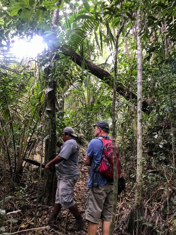 Melito cuts a path through the jungle