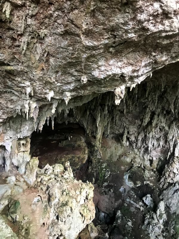 Cave entrance, Sibun River Forest Reserve